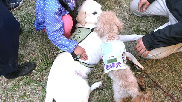 介助犬